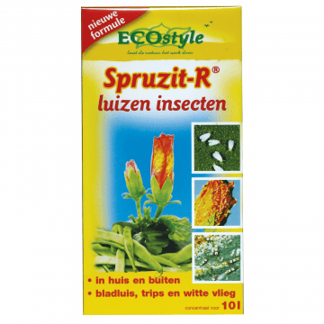 Ecostyle spruzit-R concentraat 100 ml