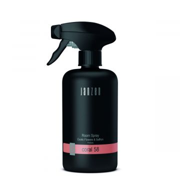 Interieurspray Coral 58