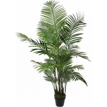 Areca palm in pot groen - h160xd80cm