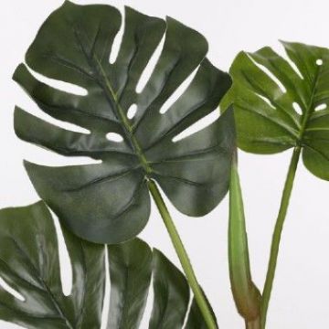 Monstera met wortels groen 124 cm