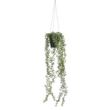 Senecio hangend in pot groen - l68xd9cm